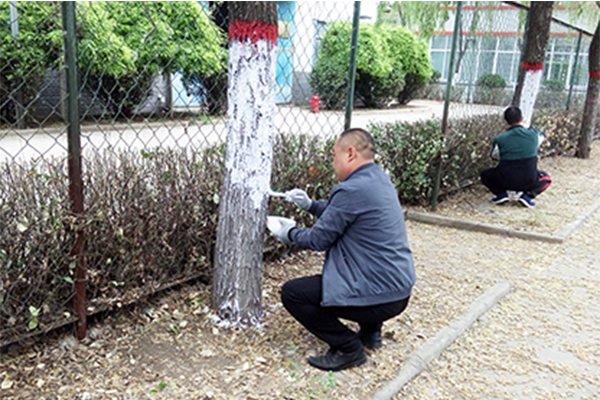 科海集團“美化環(huán)境保護樹木”活動紀(jì)實